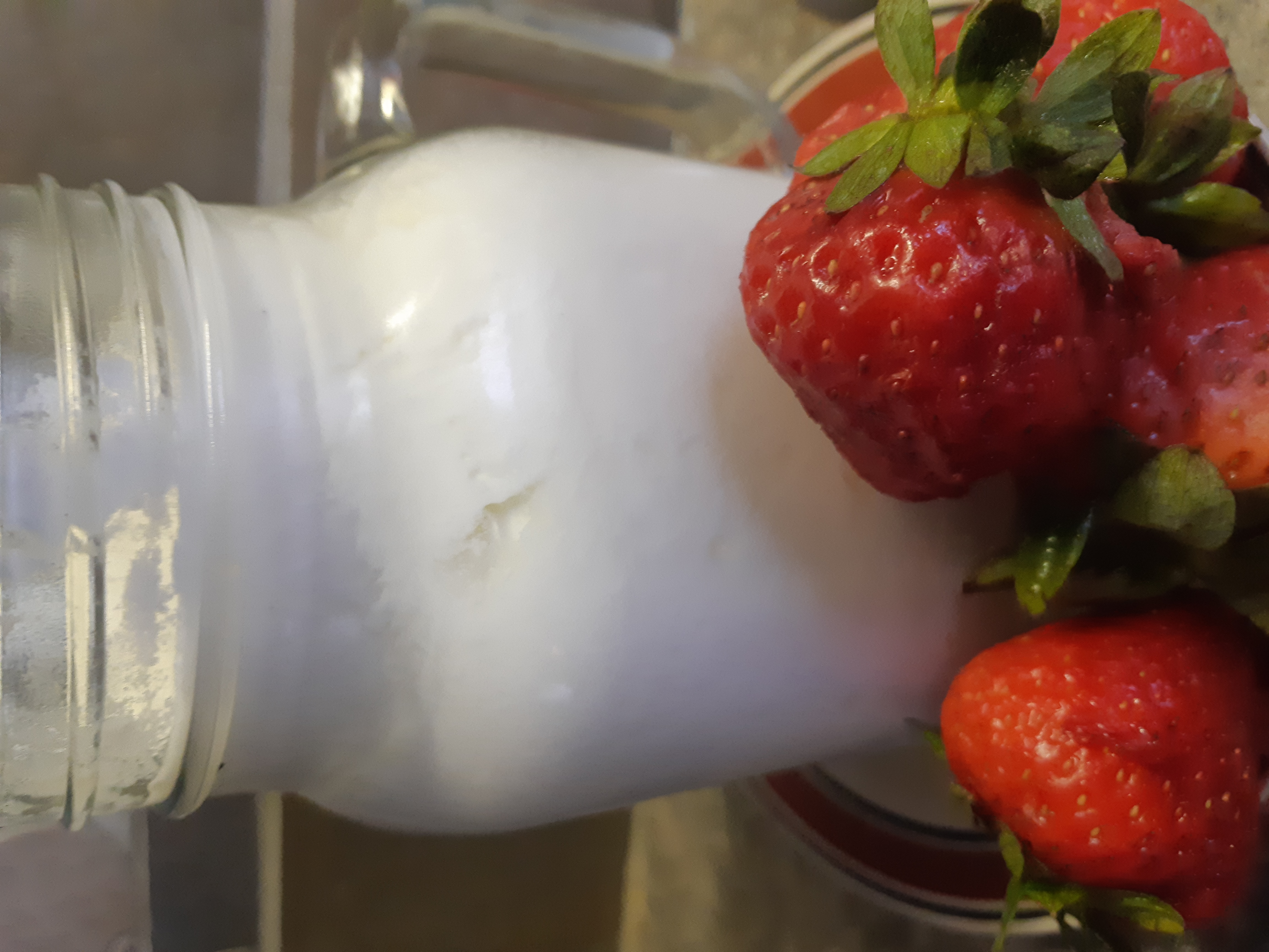 Yogourt maison nature (1l) 24
