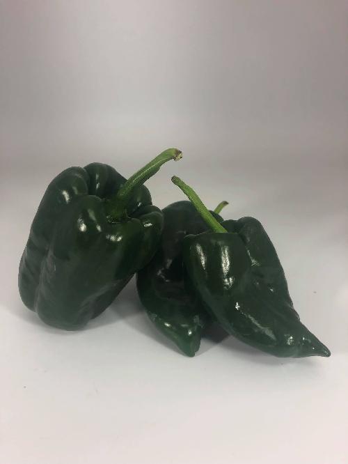 Piment Poblano 1lbs