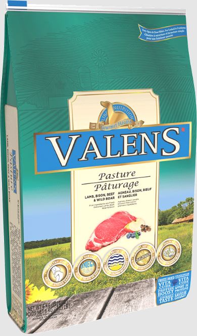 Valens, Pâturage, Chien