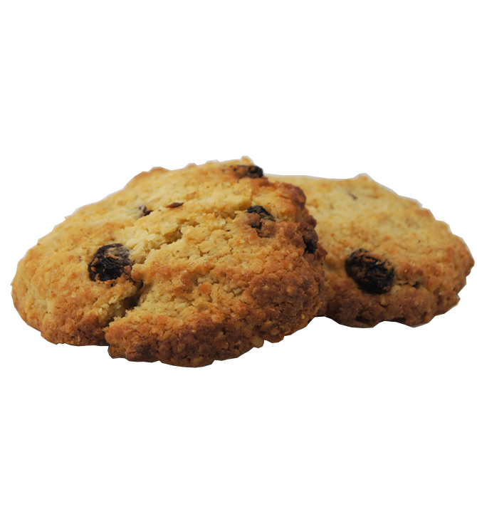 Biscuit coco avoine et raisin