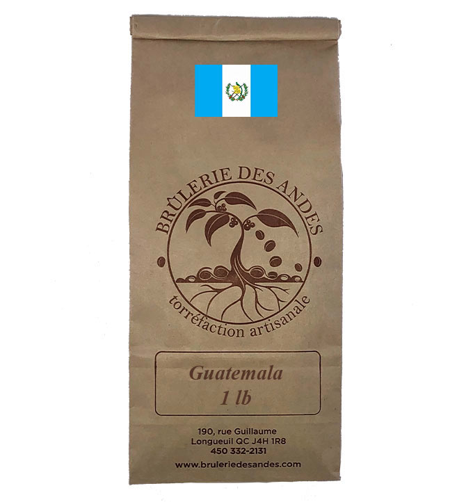 Café en grain Guatemala