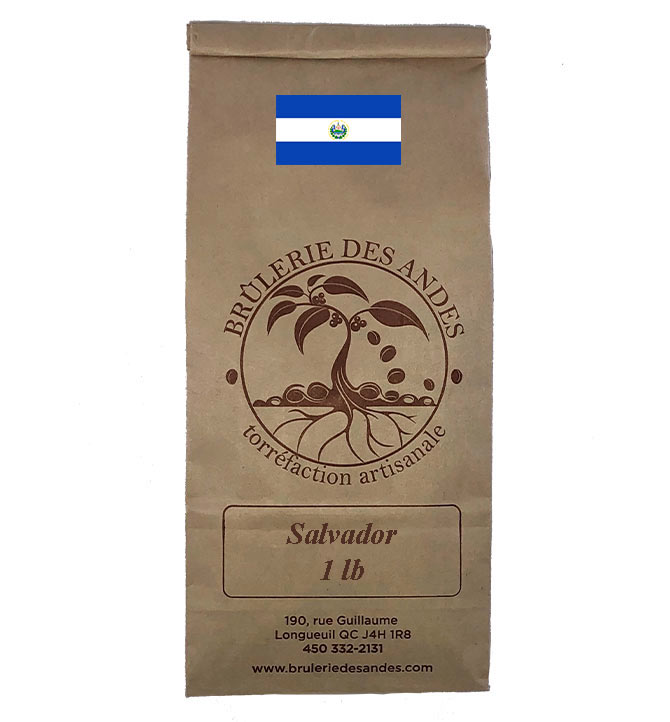 Café en grain Salvador
