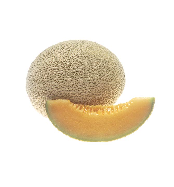 Cantaloup du Québec