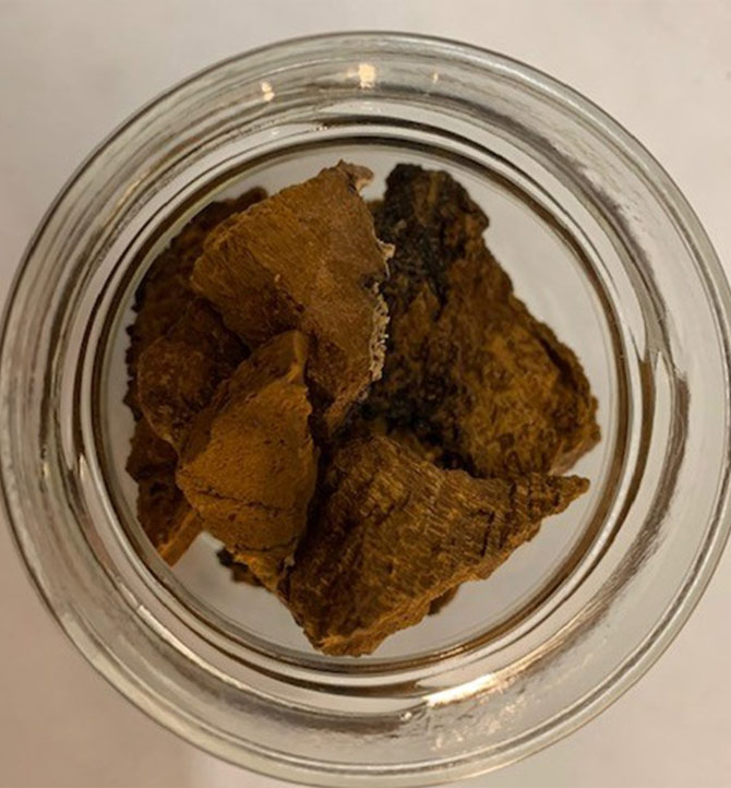 Chaga en morceaux Gaspésie Sauvage 40g