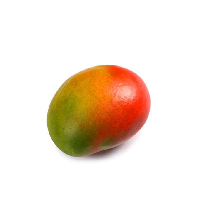 Mangue