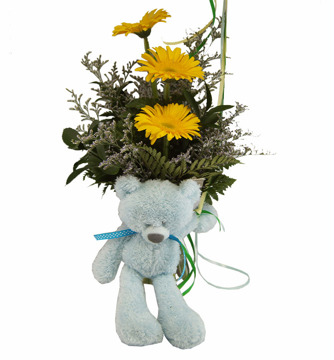 Composition de Marguerite et peluche