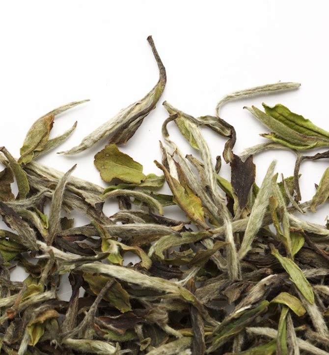 Thé Blanc Bai mu Dan Wang 30g