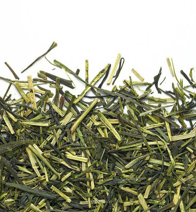 Camellia Sinensis - The Vert Japon Kukicha Bio 50g